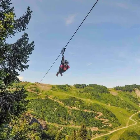 Appartement-chatel / Apartment-chatel-resort 아파트 Châtel