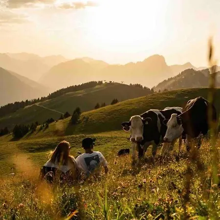 Appartement-chatel / Apartment-chatel-resort 아파트 Châtel