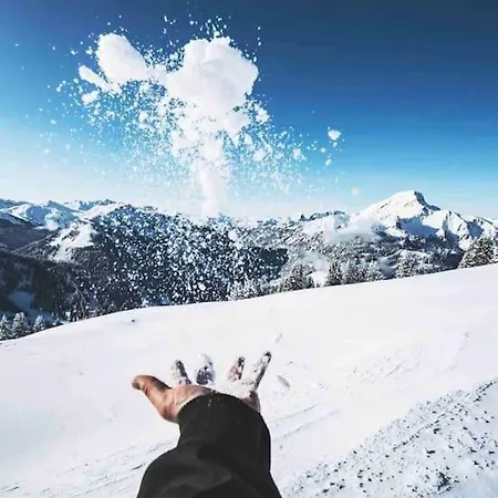 Appartement-chatel / Apartment-chatel-resort 아파트 Châtel