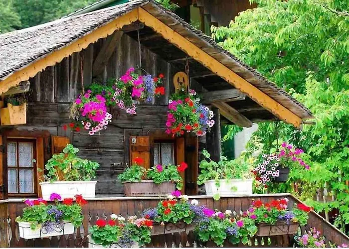 Appartement-chatel / Apartment-chatel-resort * Chatel