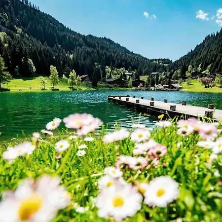 Appartement-chatel / Apartment-chatel-resort Apartment