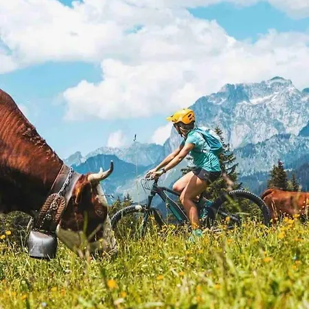 Apartment Appartement-chatel / Apartment-chatel-resort Chatel