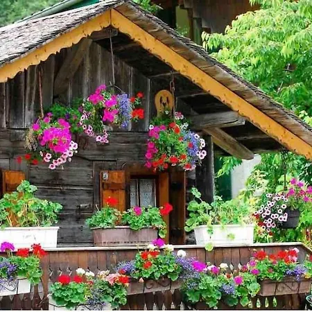 Appartement-chatel / Apartment-chatel-resort * Chatel