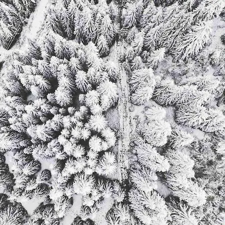 Appartement-chatel / Apartment-chatel-resort Chatel