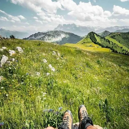 Appartement-chatel / Apartment-chatel-resort * Chatel