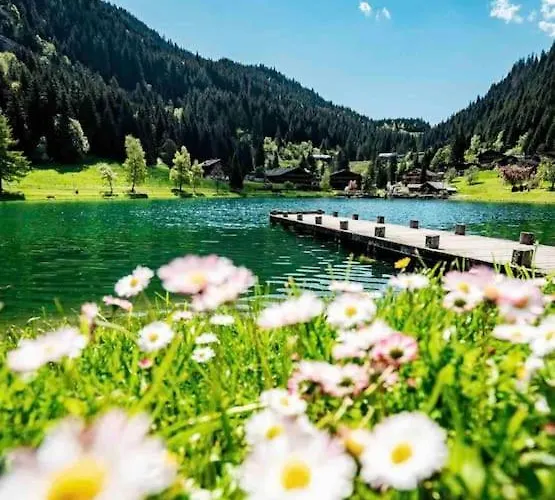 Appartement-chatel / Apartment-chatel-resort Apartamento