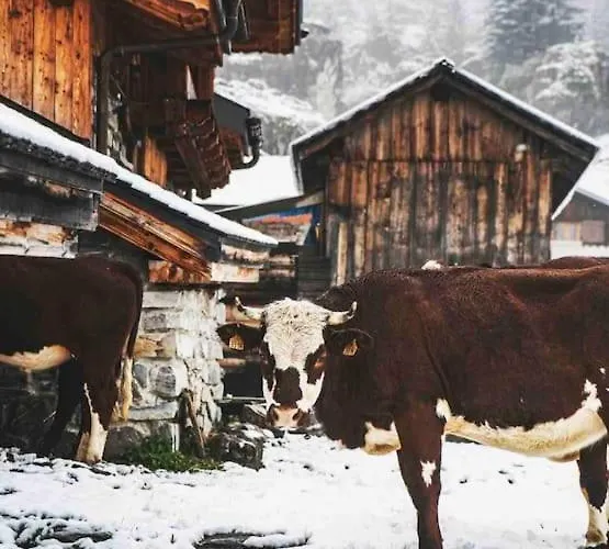 Appartement-chatel / Apartment-chatel-resort Châtel