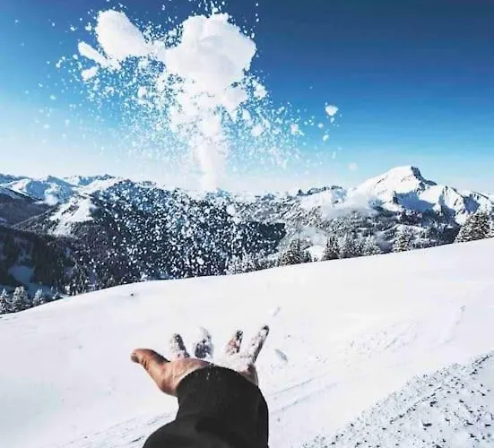 Appartement-chatel / Apartment-chatel-resort Apartamento Châtel