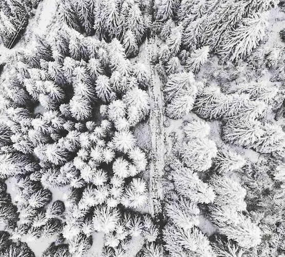 Appartement-chatel / Apartment-chatel-resort Châtel