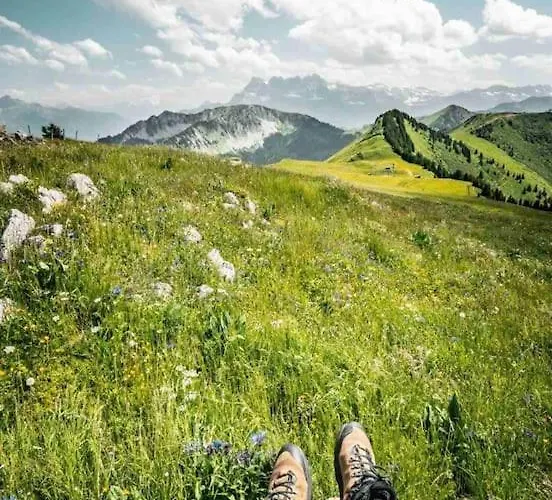 Appartement-chatel / Apartment-chatel-resort * Châtel